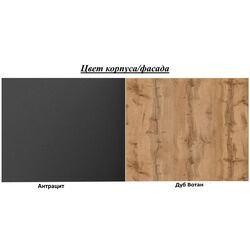 Living ASM Modo ANWT MD 1.7m (Anthracite/Wotan Oak) Thumb