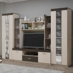 Гостиная Ideal Mobila Venetia 2.9м (Wenge/Birch)