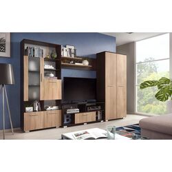 Гостиная Ideal Mobila Vienna (Wenge/Sonoma Oak) Thumb