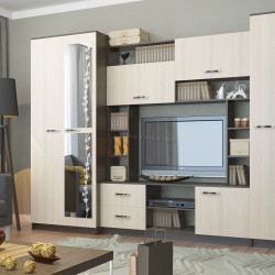 Гостиная Marcel Prod Flora 2.7м (Birch/Wenge)