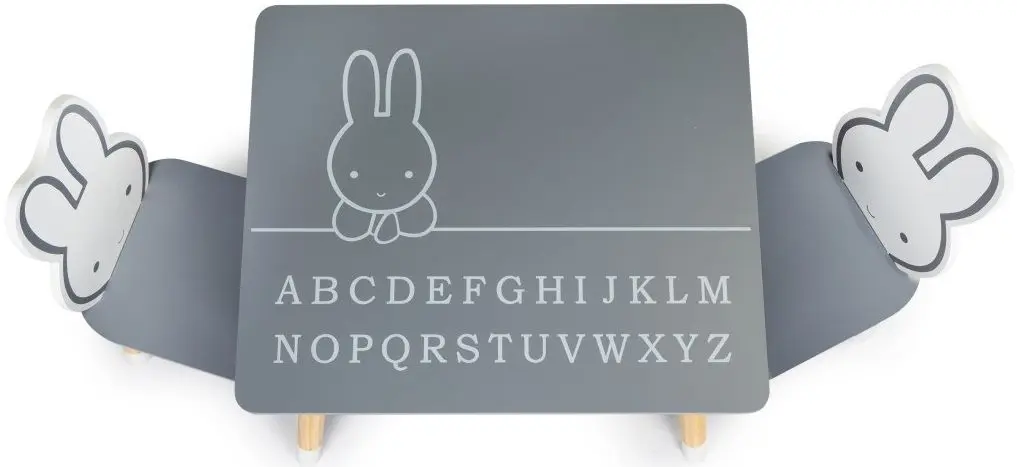 Set masa+2 scaune Ecotoys WH141 (Grey/White)