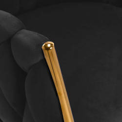Стул 4Rico QS-GW06G 148115 Velvet (Black/Gold) Thumb