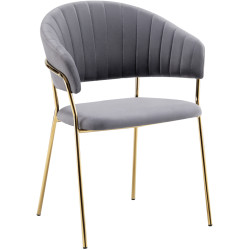 Scaun Tempo Kondela Dasmin Tip 1 (Gray Brown/Gold) Thumb