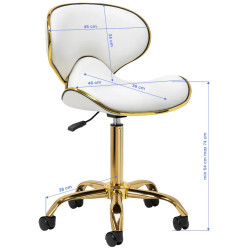 Табурет для салона красоты Gabbiano Q-4599G 150180 (White) Thumb