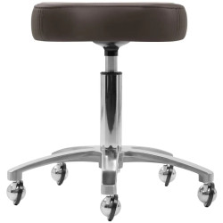 Taburet pentru salon de infrumusetare Omega Supremo 154516 (Brown/Silver) Thumb