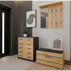 Тумба для обуви TopEshop Alex (Anthracite/Artisan Oak) Thumb