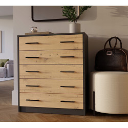 Тумба для обуви TopEshop Alex (Anthracite/Artisan Oak)