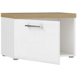 Тумба для обуви Fortuna Tudor 60.4x40.8x43.4 (White/Artisan Oak/White Gloss) Thumb