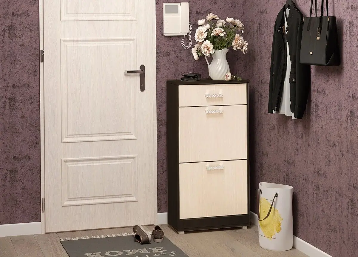 Tumba pentru incaltaminte Ideal Mobila N2 (Wenge/Birch)