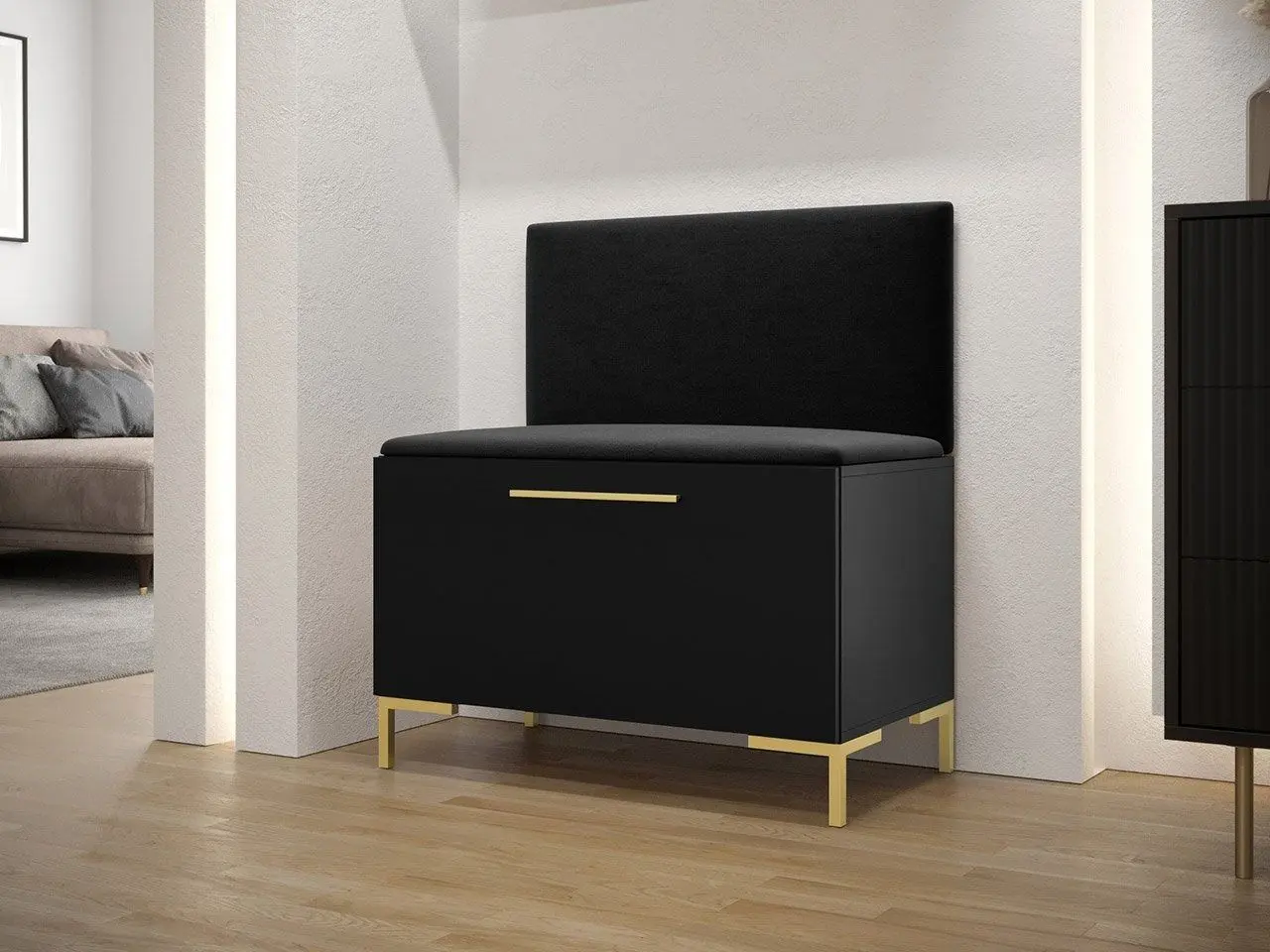 Tumba-bancheta pentru incaltaminte Mirjan24 Frunofta VII/Zilion (Black) - 7