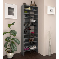 Etajera pentru incaltaminte Tempo Kondela Oski (Graphite) Thumb