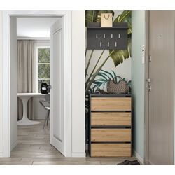 Тумба для обуви TopEshop Modo 60x88 (Anthracite/Artisan Oak)