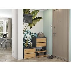 Тумба для обуви TopEshop Modo 60x88 (Anthracite/Artisan Oak) Thumb