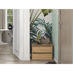 Tumba pentru incaltaminte TopEshop Modo (Artisan Oak)