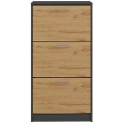 Тумба для обуви TopEshop Paula (Anthracite/Artisan Oak) Thumb