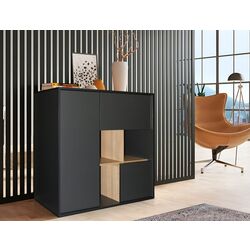 Тумба DP EvoCab 119x52x114 (Black)