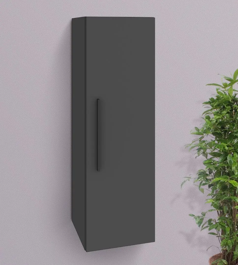 Dulap suspendat Haaus Kos 1D 95x30 (Anthracite)