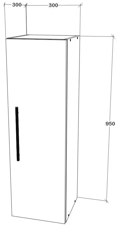 Dulap suspendat Haaus Kos 1D 95x30 cm (White Gloss/Black)