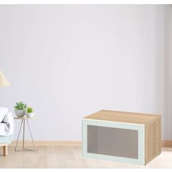 Dulap Ikea Besta cu sticlă mată 60x42x38 (Aspect Stejar Antichizat Glassvik/Alb/Verde Deschis)