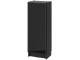 Dulap mic Ikea Billy/Hogbo usa din sticla 40x30x106 (Negru Aspect Stejar/Negru)