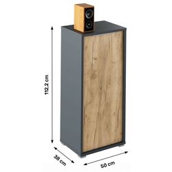 Шкафчик Tempo Kondela Rioma New Typ 10 (Graphite/Artisan Oak) Thumb