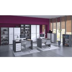 Dulap Tempo Kondela Rioma New Typ 10 (Graphite/White) Thumb