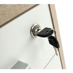 Тумба выкатная Mobhaus Johan 2 New 12 (Sonoma Oak/White) Thumb