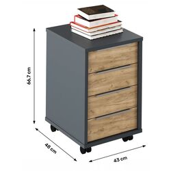 Tumba cu rotile Tempo Kondela Rioma New Typ 14 (Graphite/Artisan Oak) Thumb