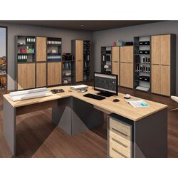 Tumba cu rotile Tempo Kondela Rioma New Typ 14 (Graphite/Artisan Oak) Thumb