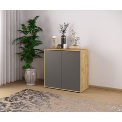 Тумба Sokme Нитро 2Д (Дуб Вотан/Серый) Thumb