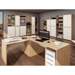 Dulap Tempo Kondela Rioma Typ 10 (Artisan Oak/White) Thumb