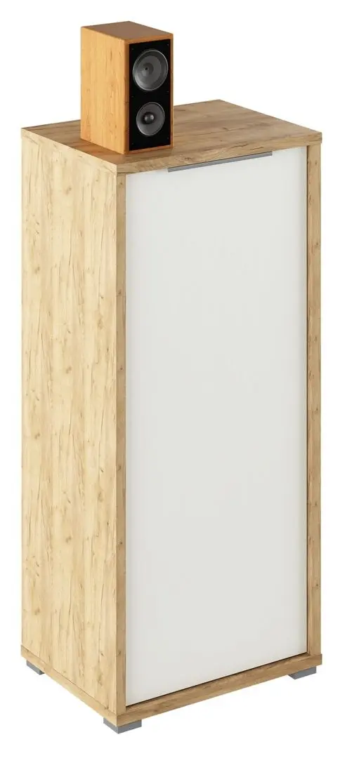 Dulap Tempo Kondela Rioma Typ 10 (Artisan Oak/White)