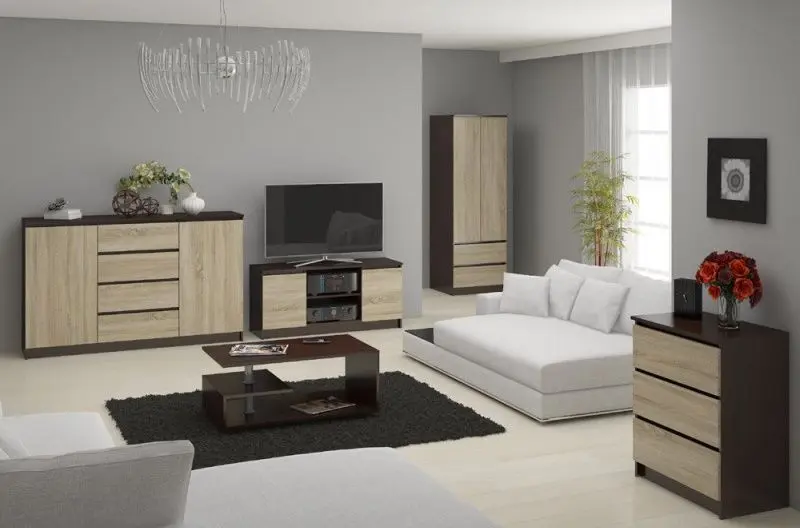 Tumba pentru TV Akord K120 2D1P (Wenge/Sonoma Oak)