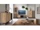 Tumba pentru TV Halmar Lamino RTV-1 (Craft Oak/Black)