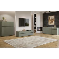 Тумба РТВ Helvetia Cross 24GWMY41 3K3S (Green/Black) Thumb