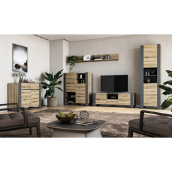 Тумба РТВ Magnusplus Combo CO4 140x46.2x42.1 (Graphite/Evoke Coast Oak) Thumb