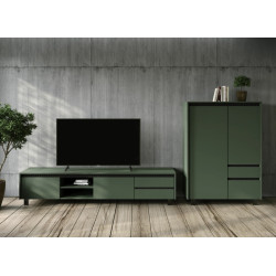 Тумба Tempo Kondela Longy RTV1K2So (Smoke Green/Black) Thumb