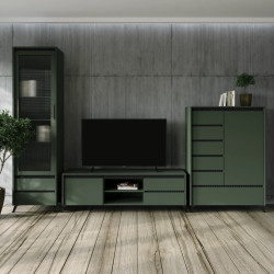 Тумба Tempo Kondela Longy RTV2K2So (Smoke Green/Black) Thumb