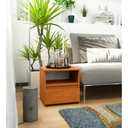 Тумба прикроватная Akord CL1 1SZ 40cm (Alder)