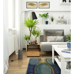 Noptiera Akord CL1 1SZ 40cm (Craft Oak) Thumb