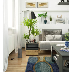 Noptiera Akord CL1 1SZ 40cm (Graphite Gray/Artisan Oak) Thumb