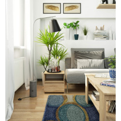 Noptiera Akord CL1 1SZ 40cm (Sonoma Oak) Thumb