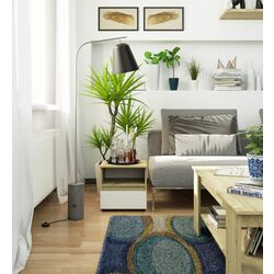 Noptiera Akord CL1 1SZ (Artisan Oak/White) Thumb