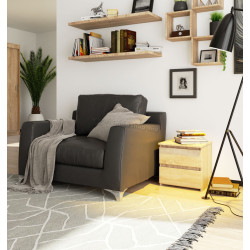 Noptiera Akord CL2 40cm 2SZ (Sonoma Oak)