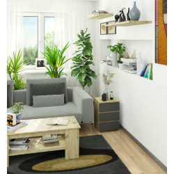 Noptiera Akord CL3 40 (Artisan Oak/Graphite Gray) Thumb