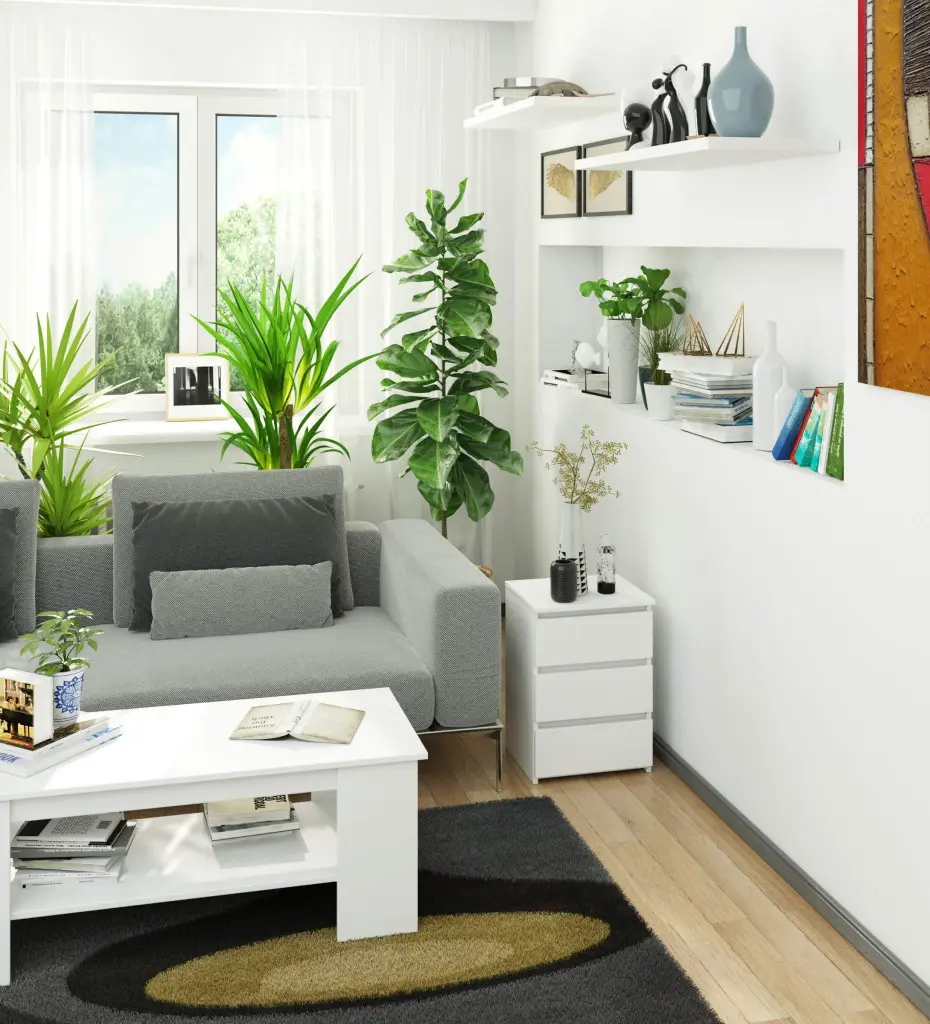 Noptiera Akord CL3 40 (White)