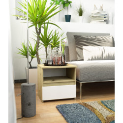 Noptiera Akord K40 1SZ (White/Artisan Oak)