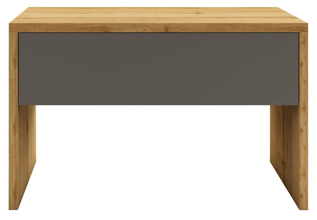 Noptiera Haaus Pedro 1S (Wotan Oak/Anthracite)