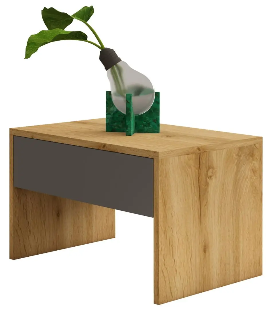 Noptiera Haaus Pedro 1S (Wotan Oak/Anthracite)