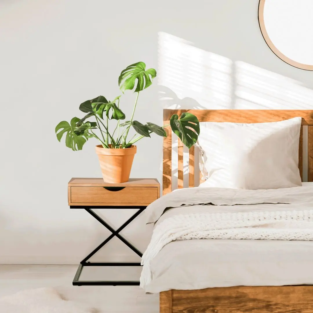 Noptiera Mobhaus Vired (Oak/Black)